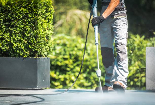 Best Building Exterior Washing  in La Palma, CA